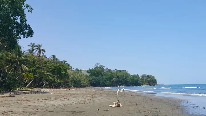 Playa Negra Cahuita arena