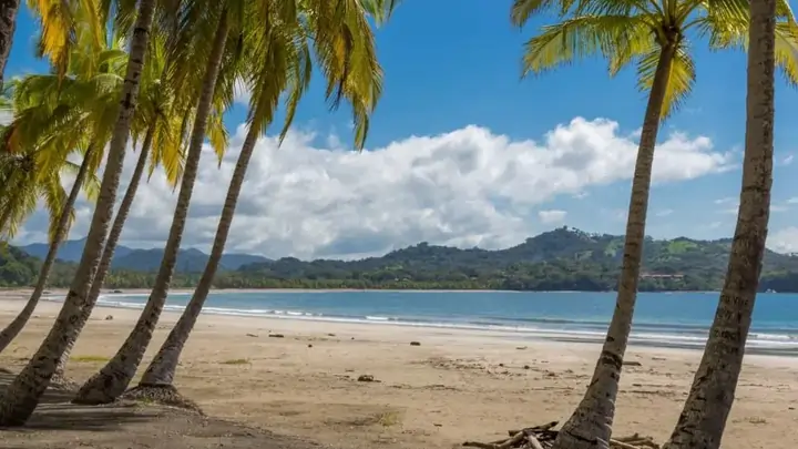 Playa Samara palmeras