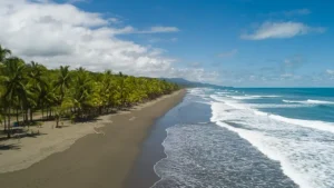 Playa Linda matapalo aerea