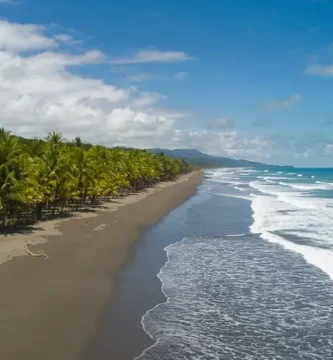 Playa Linda matapalo aerea