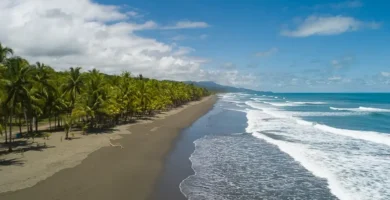 Playa Linda matapalo aerea