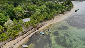 Playa Manzanillo aerea barcas