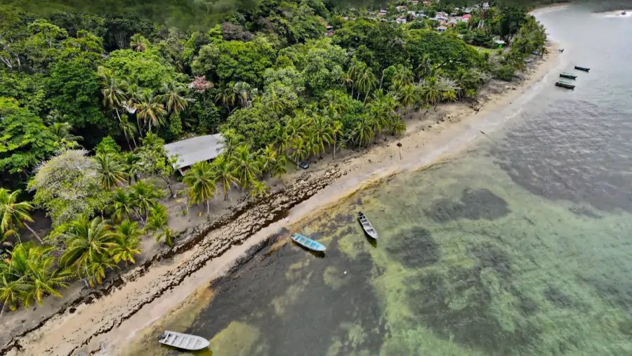 Playa Manzanillo aerea barcas