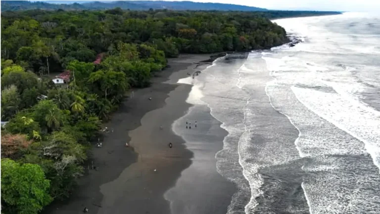 Playa Negra Cahuita aerea