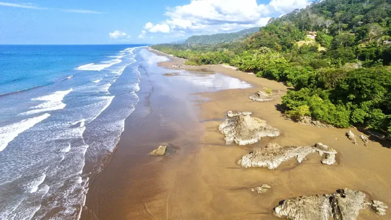 playa dominical aerea